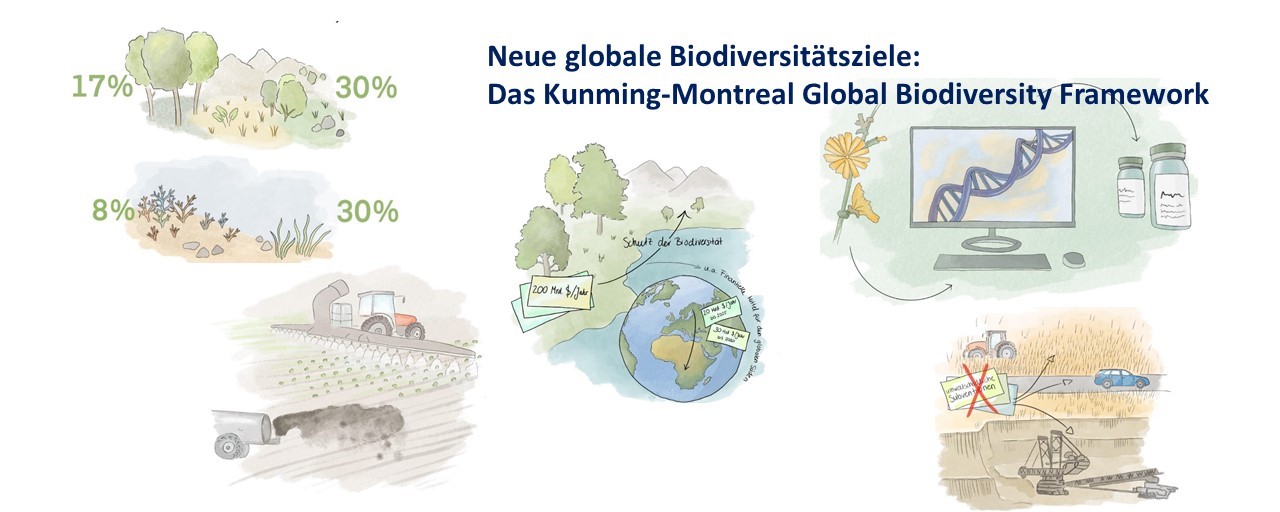 Am 19.12.2022 ging die CBD COP-15 mit einem Beschluss zum Global Biodiversity Framework (GBF) in Montreal zu Ende. Bild: R. Lessnow
Aktualisierte Informationen auf unserer "CBD-Post-2020"-NeFo-Webseite